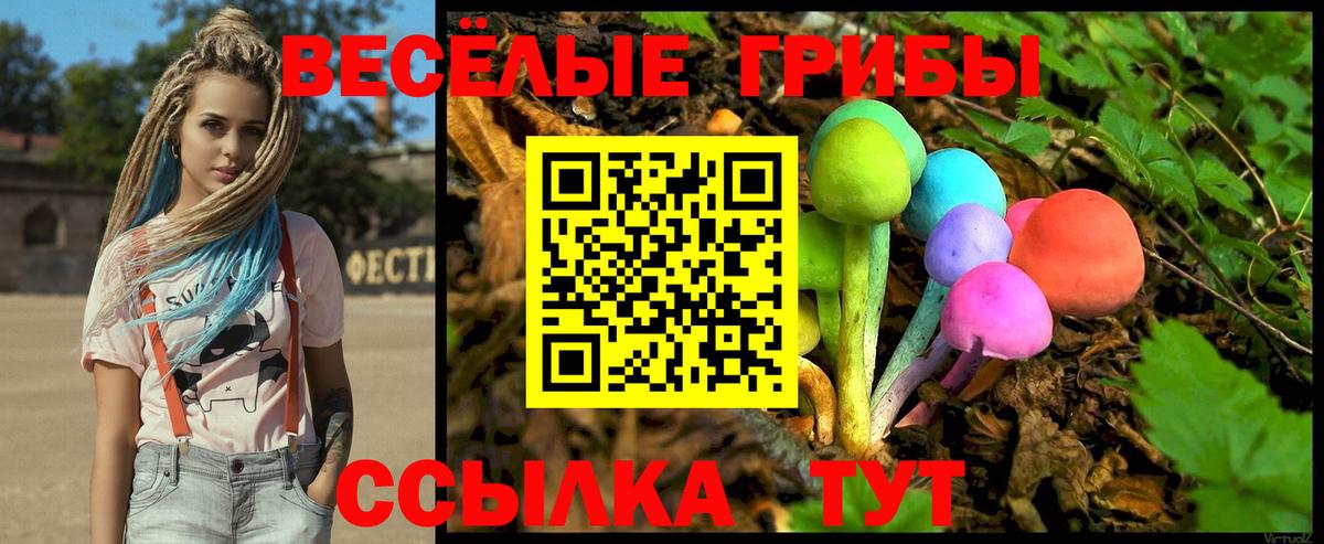 Галлюциногенные грибы MAGIC MUSHROOMS  Вход с VPN  Галлюциногенные грибы GOLDEN TEACHER  Кимовск 